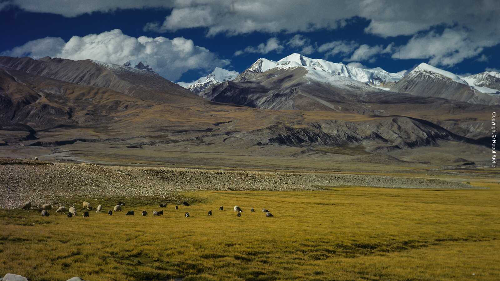 Tibetanische Landschaft
